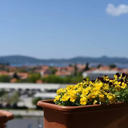 Petra Apartman Zadar